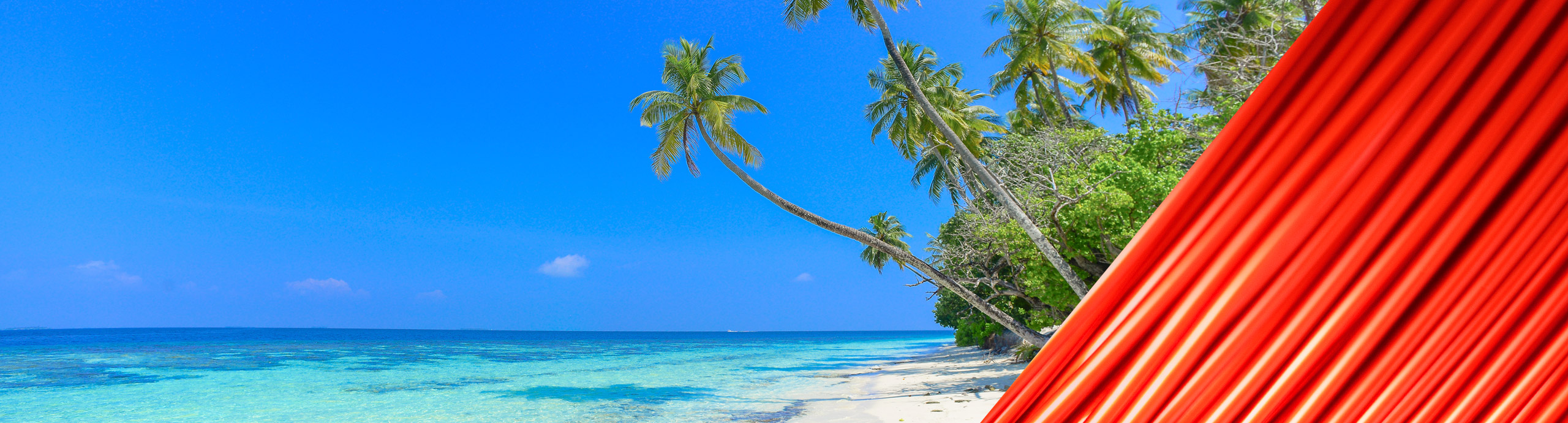 banner-kobrex
